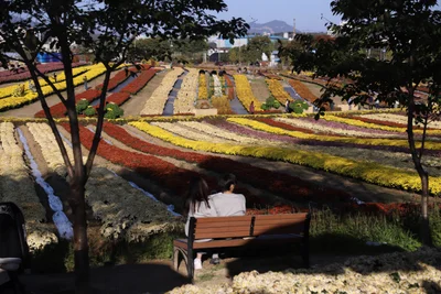 Yeoncheon-gun - Photo 4