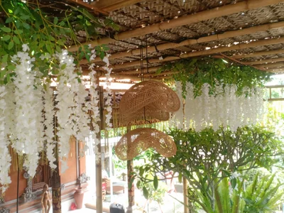 Sangeh - Photo 2