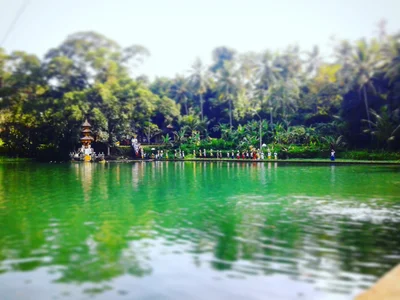 Sangeh - Photo 5