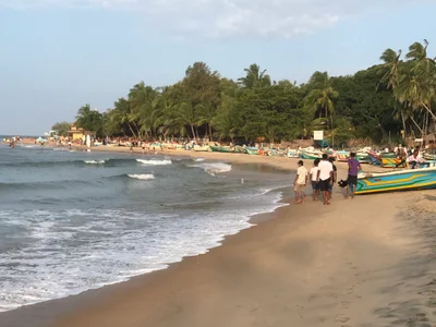 Arugam Bay - Photo 2