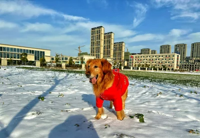 Bozhou - Photo 4