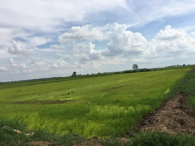 Kampong Thom - Photo 5