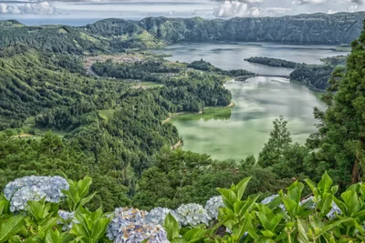 São Miguel - Photo 4