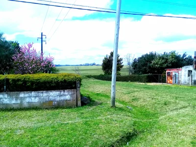 Cerro Chato - Photo 3