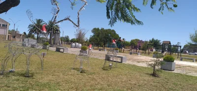 Cerro Chato - Photo 5