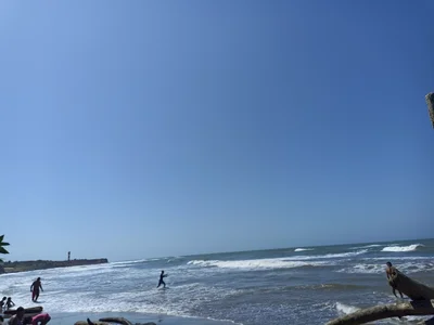 Galerazamba - Photo 2
