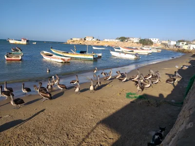 Paraguana Peninsula - Photo 2