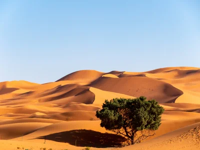 Erg Chebbi - Photo 3