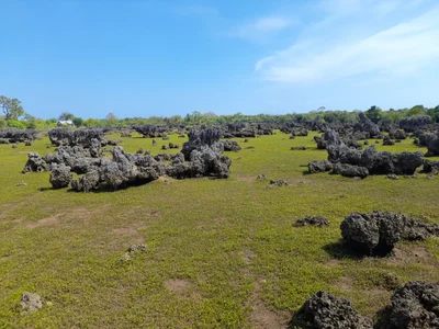 Wasini Island - Photo 2