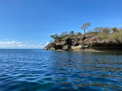 Wasini Island - Photo 3
