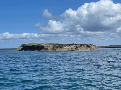 Wasini Island - Photo 4