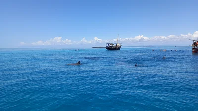 Wasini Island - Photo 5