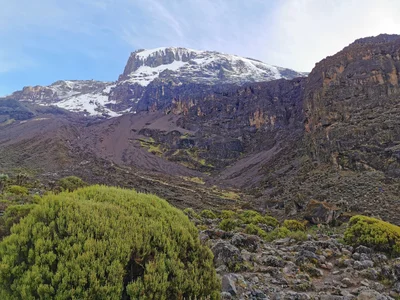 Kilimanjaro National Park - Photo 3