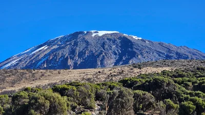 Kilimanjaro National Park - Photo 4
