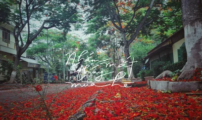 Sa Dec - Photo 3