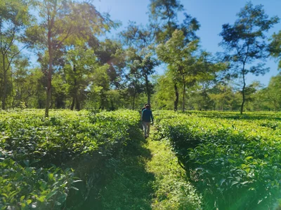 Jalpaiguri - Photo 2