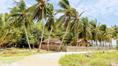 Kalpitiya - Photo 3
