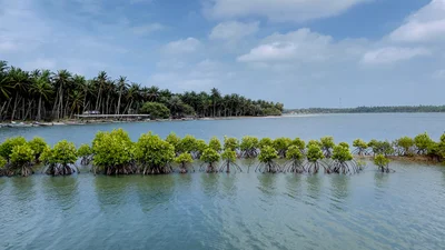 Kalpitiya - Photo 4