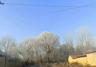Binzhou - Photo 4