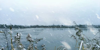 Zhouzhi County - Photo 4