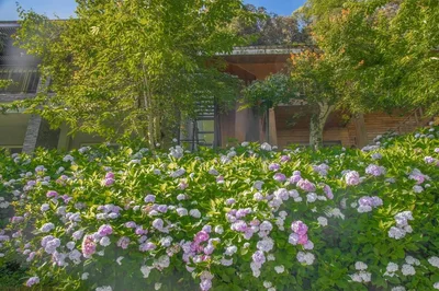 Zhushan Township - Photo 4