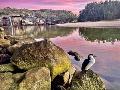 Royal National Park - Photo 4