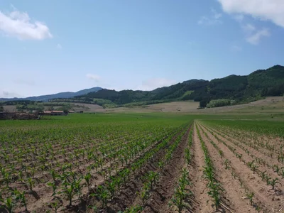 Benxi Manchu Autonomous County - Photo 2