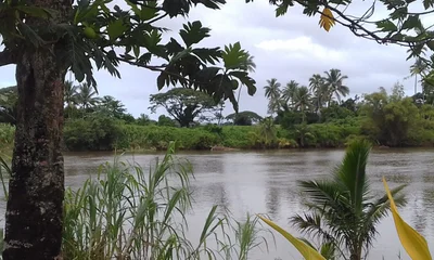 Navua - Photo 2