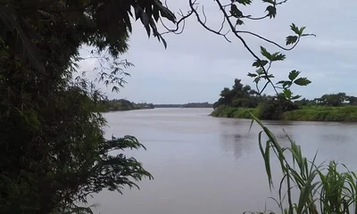 Navua - Photo 3