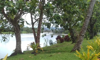 Navua - Photo 5