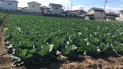 Isesaki - Photo 5