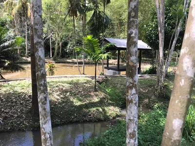 Bentong - Photo 5