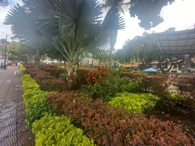 La Vega - Photo 5
