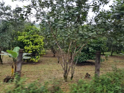 Hương Thủy - Photo 2