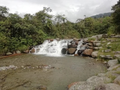 El Chaco - Photo 2