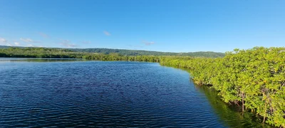 Tucacas - Photo 3