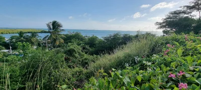 Tucacas - Photo 4