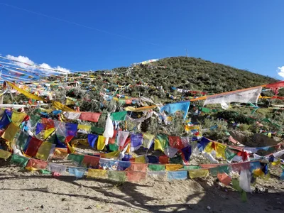 Zhanang - Photo 3
