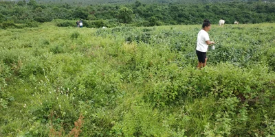 Tiaong - Photo 5