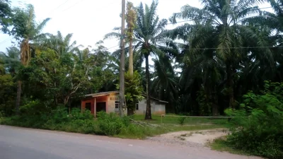 Khlong Thom - Photo 2