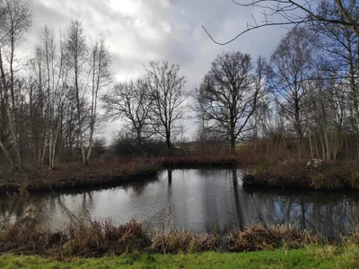 Hilversum - Photo 5