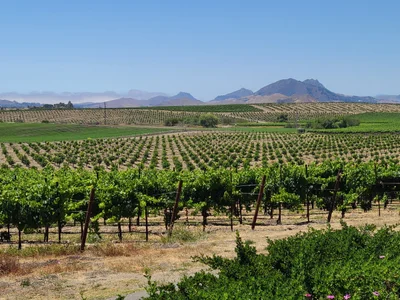 San Luis Obispo County - Photo 4