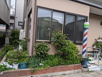 Akita - Photo 3