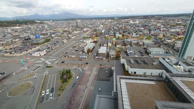 Akita - Photo 4