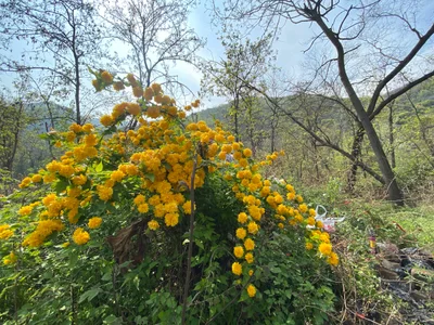 Huayin City - Photo 2