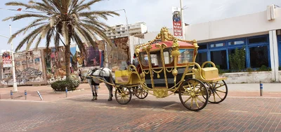 Agadir - Photo 5