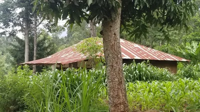 Marangu - Photo 2