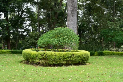 Marangu - Photo 3