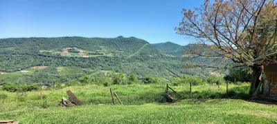 Alvorada - Photo 2
