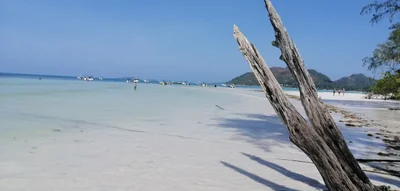 Anse Volbert - Photo 3